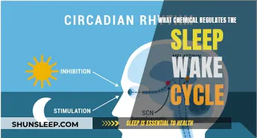 The Chemical Guardian of Our Sleep-Wake Rhythm