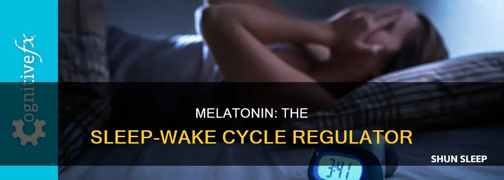 what chemical regulates the sleep wake cycle