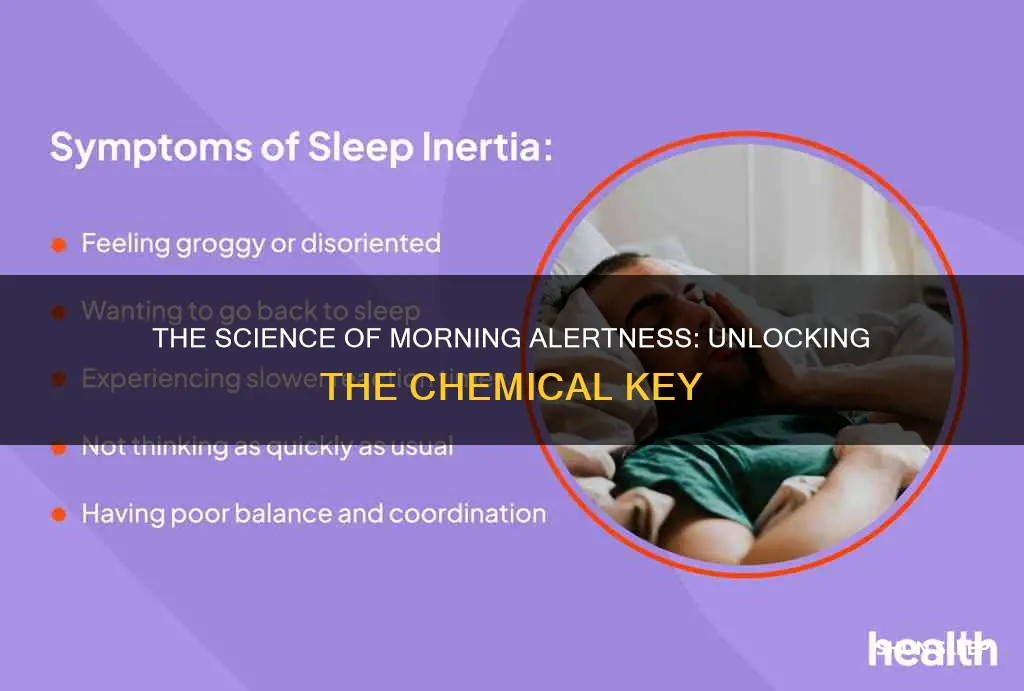 what chemical wakes you after sleep