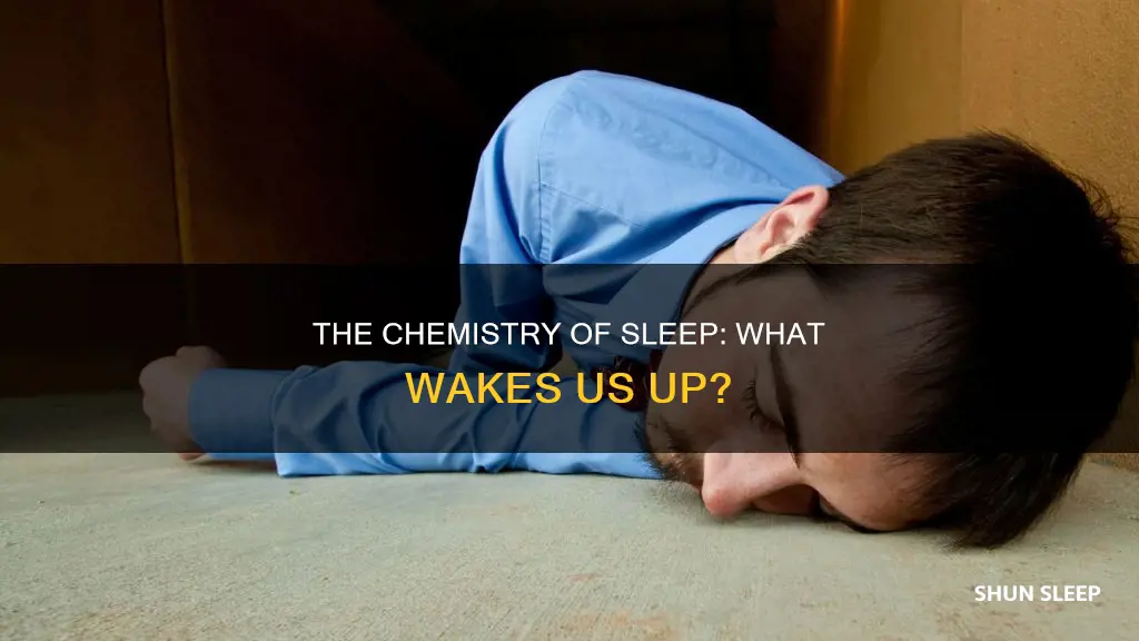 what chemical wakes you after sleep