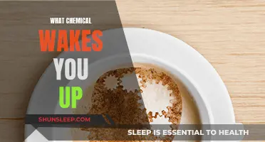 The Chemistry of Waking Up
