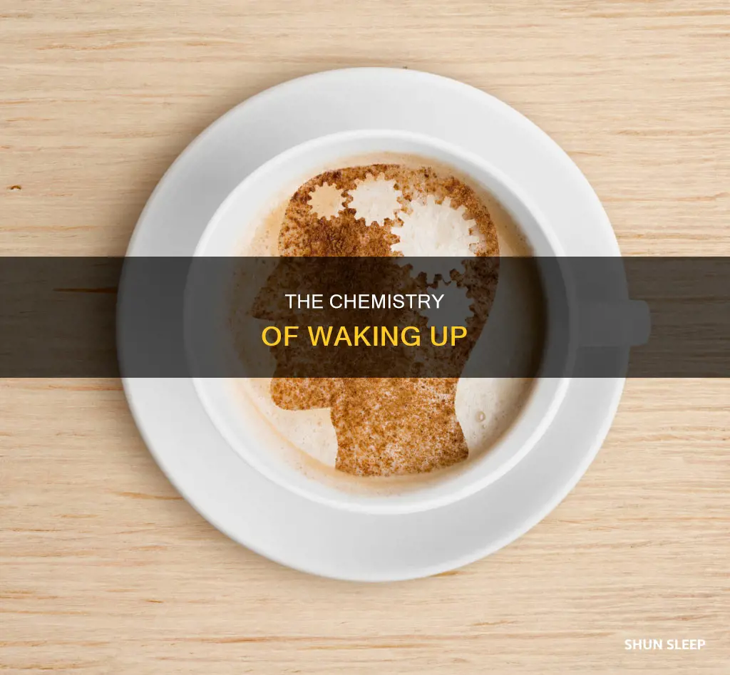 what chemical wakes you up