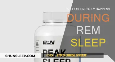 Chemistry of REM Sleep: Brain Activity and Neurotransmitters