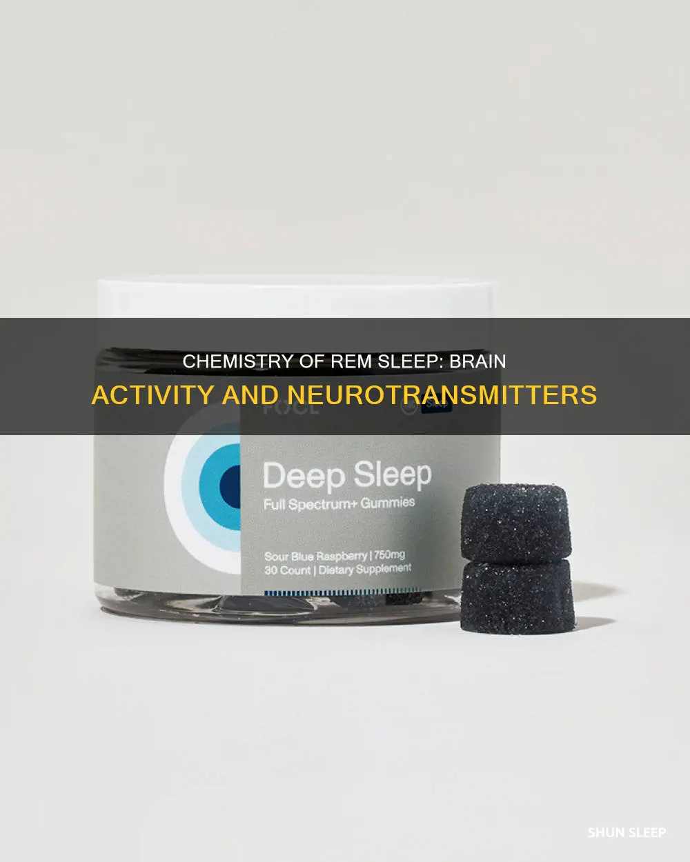 what chemically happens during rem sleep