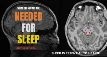 The Chemistry of Sleep: What's Needed to Rest?
