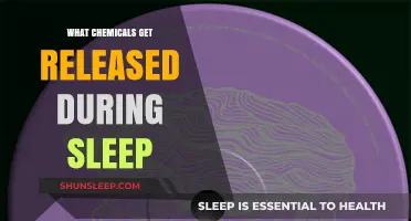 Unveiling the Sleep Chemistry: Key Chemicals Released During Rest
