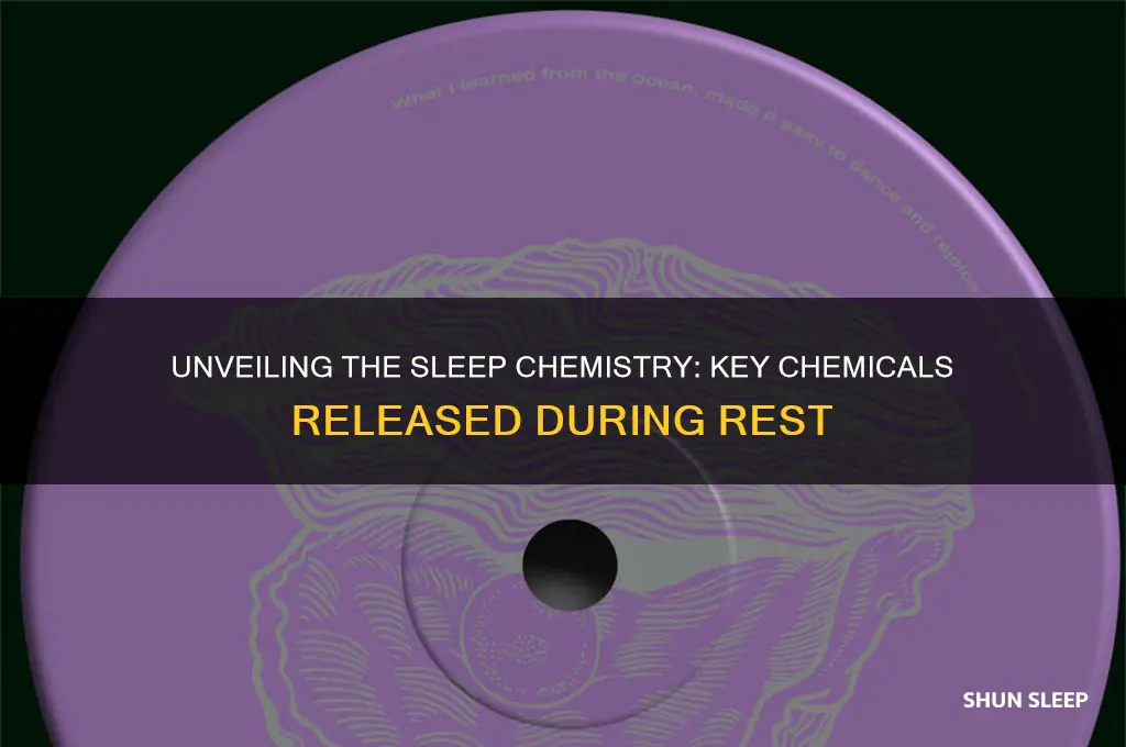 what chemicals get released during sleep