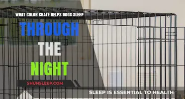 Calming Crate Colors: Which Hue Helps Dogs Sleep Soundly?