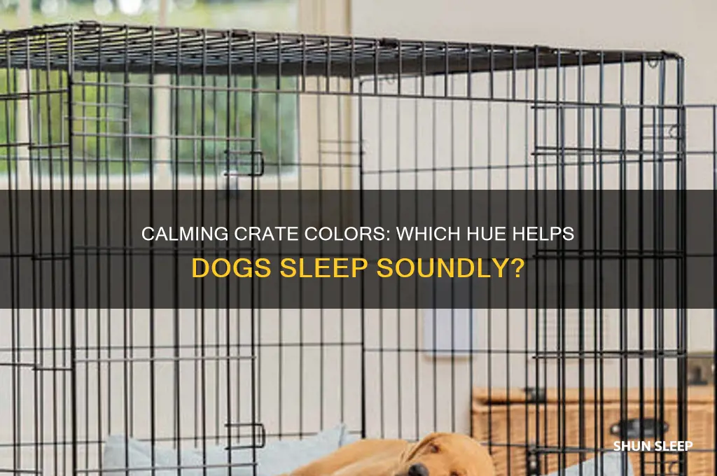 what color crate helps dogs sleep through the night