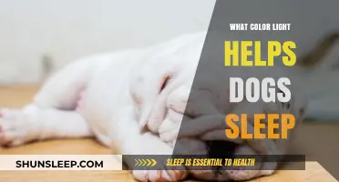 Calming Canine Colors: Best Light Hues for Dog Sleep