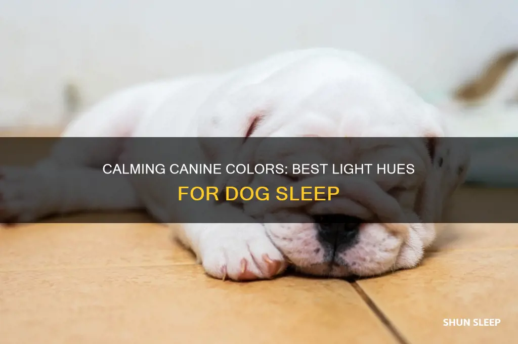 what color light helps dogs sleep