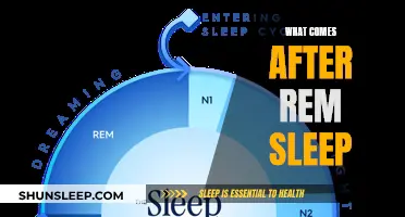 The Science of Sleep: REM and Beyond