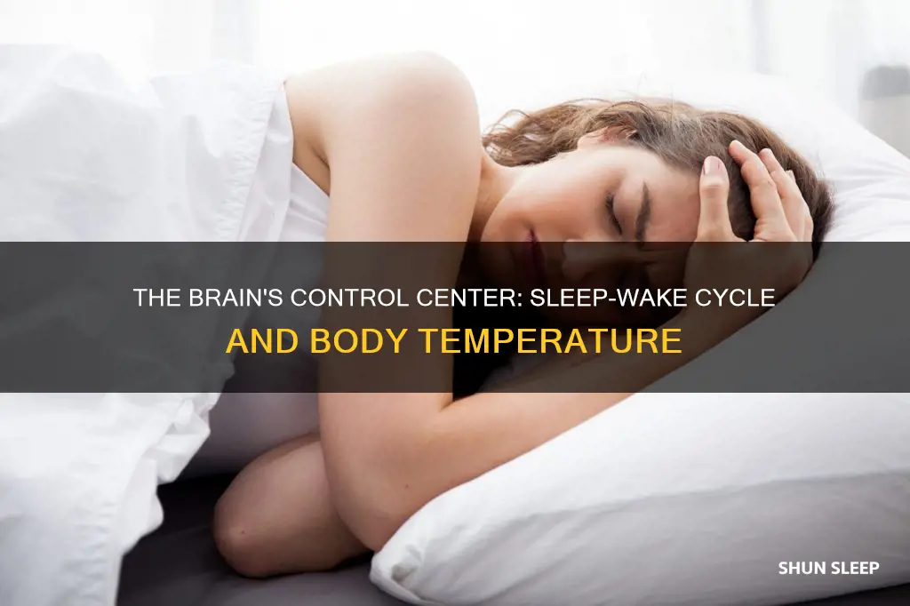 what controls the sleep-wake cycle and body temperature