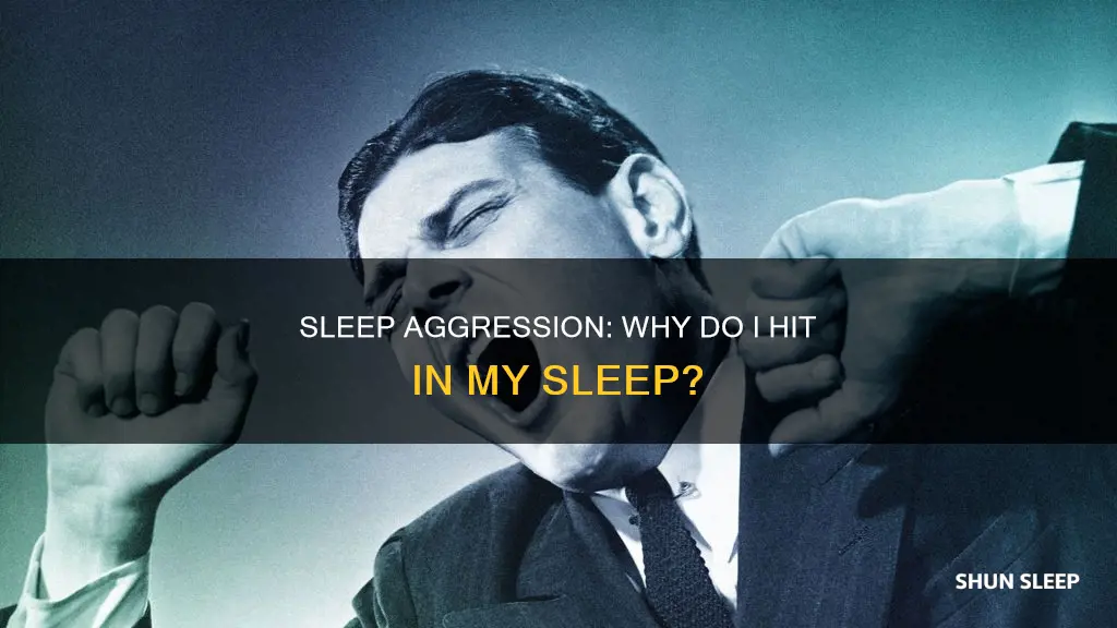 what could hitting someone in your sleep mean