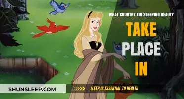 Sleeping Beauty's Country of Enchantment and Slumber