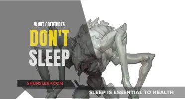 The Sleepless World: Creatures That Never Sleep