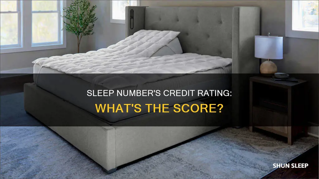 what credit rating does sleep number use