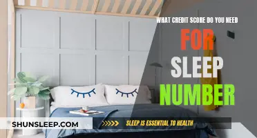 Credit Score Requirements for Sleep Number: What's Needed?