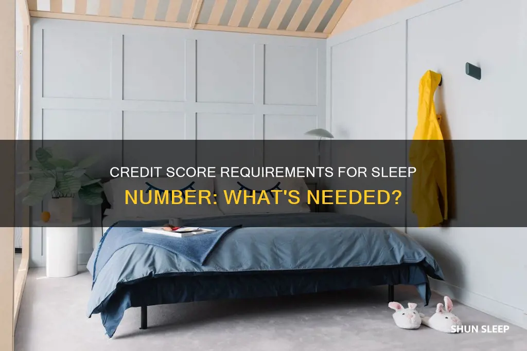 what credit score do you need for sleep number