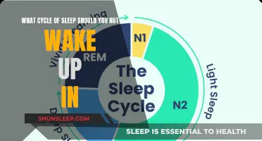 The Cycle You Should Never Interrupt: Why Waking Up Is Risky