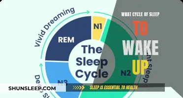 Mastering Your Sleep Cycle: The Key to Waking Up Refreshed