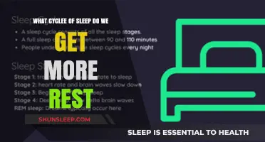 Which Sleep Cycle Offers the Most Restorative Sleep?