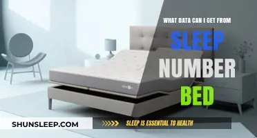 Unlocking Insights: Data Your Sleep Number Bed Tracks for Better Rest
