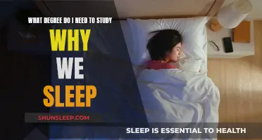 Exploring Sleep Science: Degree Paths and Career Insights