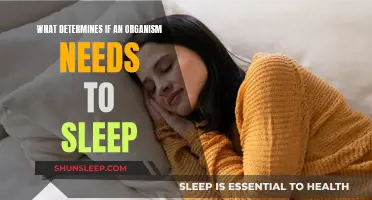 The Mystery of Sleep: Why Do Organisms Need It?