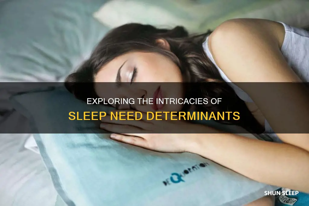 what determines sleep need