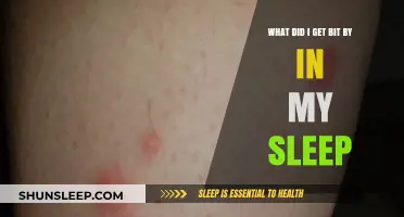 Mysterious Nighttime Bites: Identifying What Bit Me in My Sleep