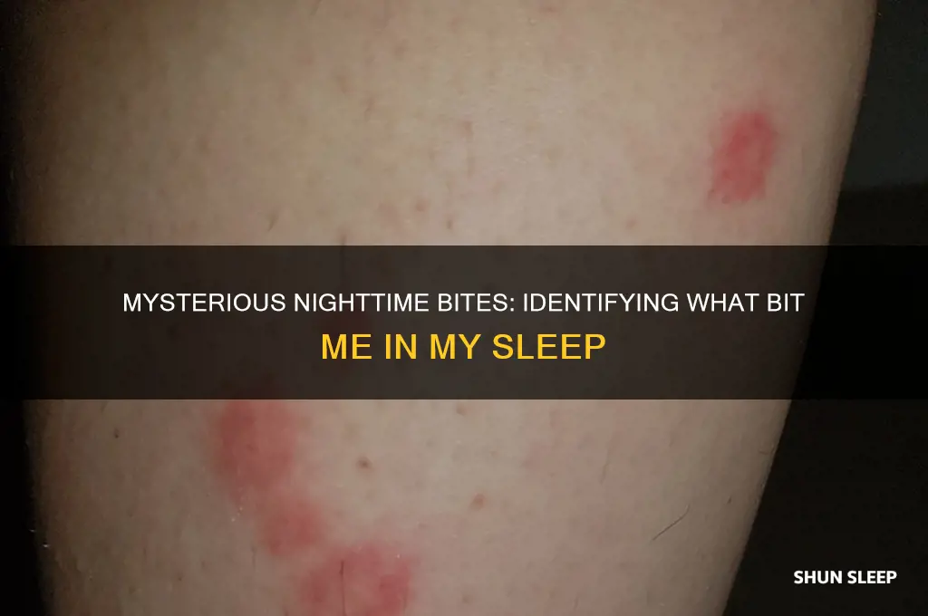 what did i get bit by in my sleep