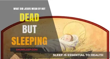 Jesus' Metaphor: Death as Sleep