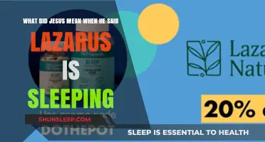 Understanding Jesus' Words: Lazarus and Sleep