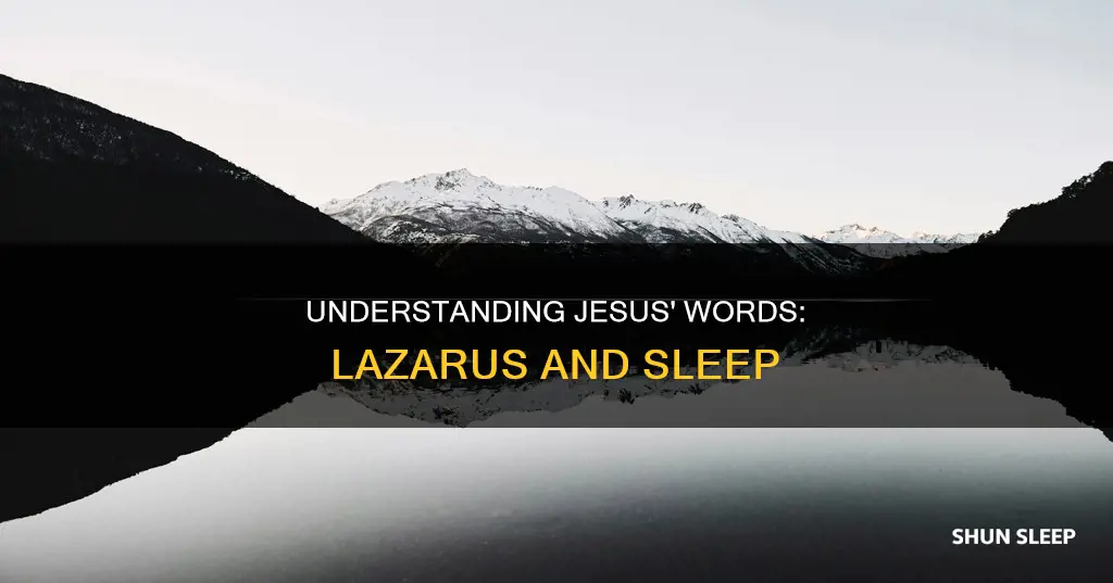 what did jesus mean when he said lazarus is sleeping