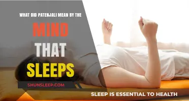 Exploring Patanjali's Wisdom: Understanding the Sleeping Mind