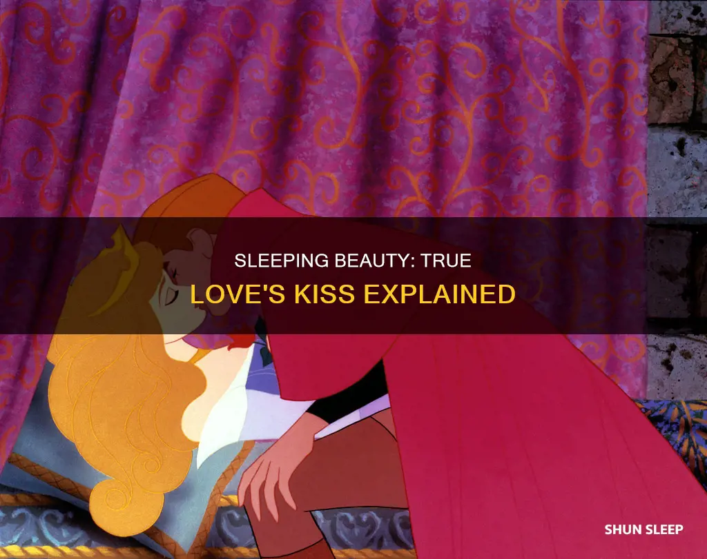 what did the end of sleeping beauty mean