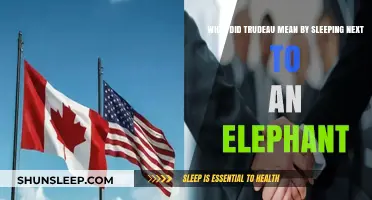 Trudeau's Metaphor: Sleeping Next to an Elephant Explained