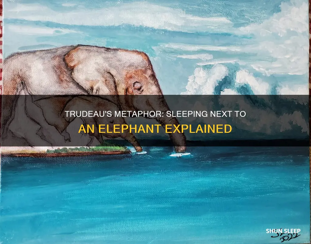 what did trudeau mean by sleeping next to an elephant