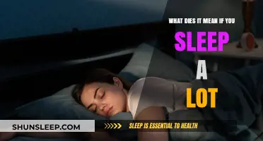 Why Do You Sleep So Much?
