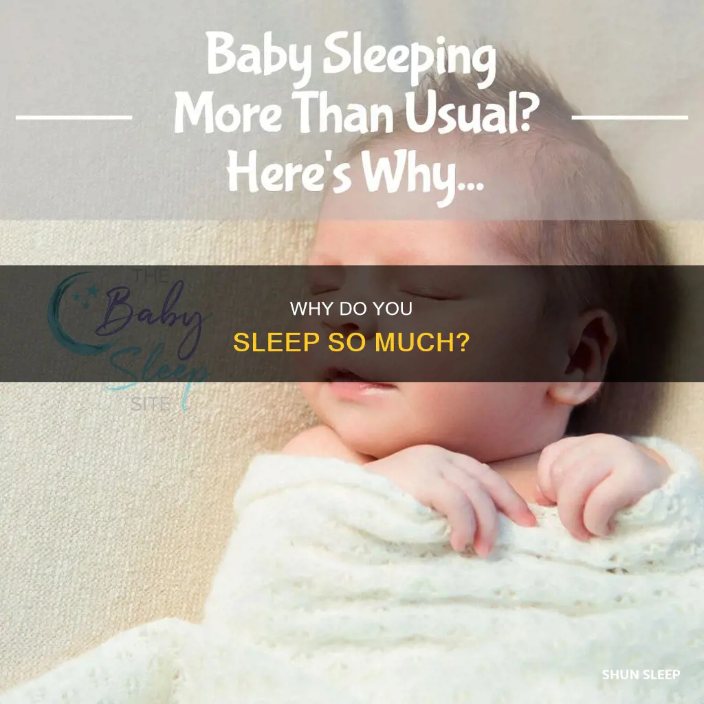 what dies it mean if you sleep a lot