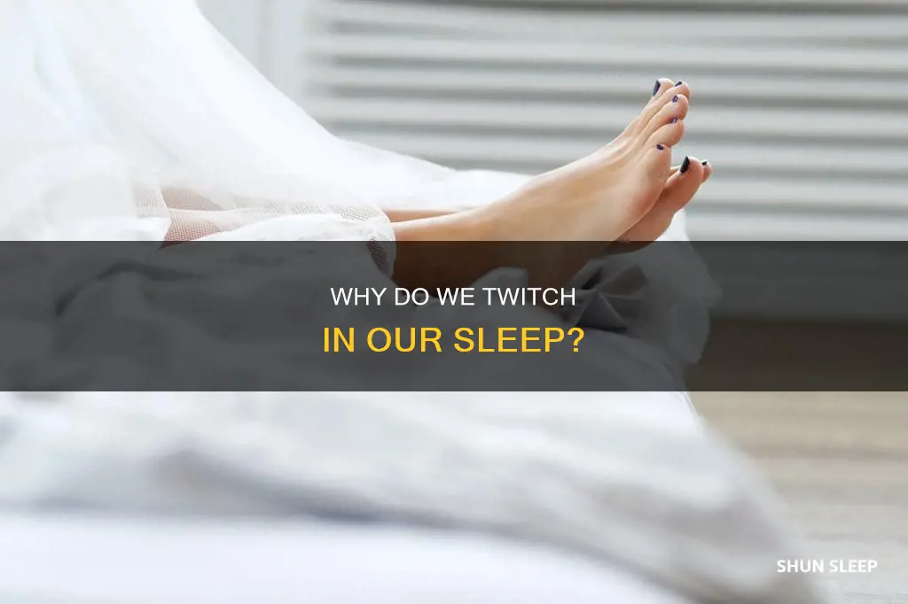 what dies it mean if you twitch in your sleep