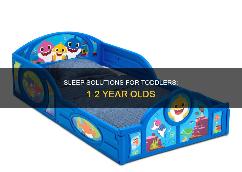 what do 1 1 2 year olds sleep in