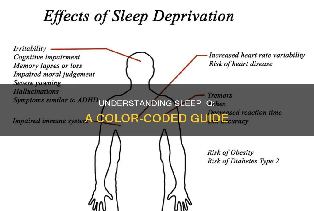 what do all the colors mean in the sleep iq