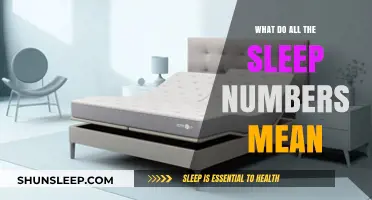 Sleep Numbers: Understanding Your Sleep Quality