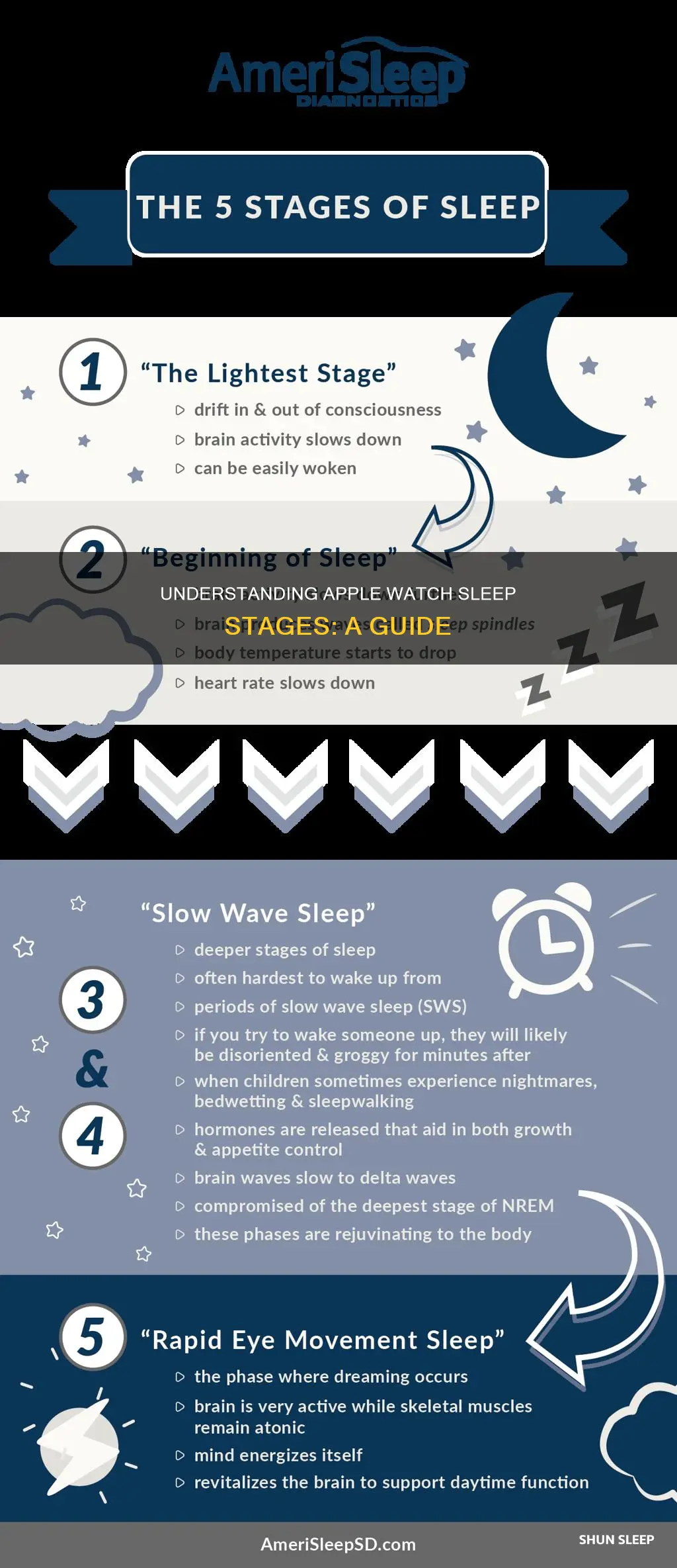 what do apple watch sleep stages mean