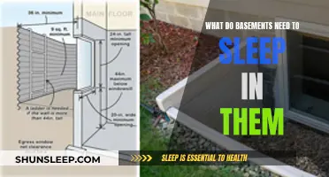 Basement Sleeping: What You Need to Know