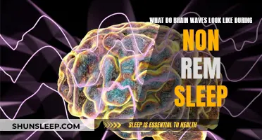 Brain Waves During Non-REM Sleep: What Do They Look Like?