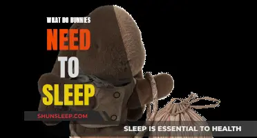 Bunny Bedtime Basics: Essentials for a Good Night's Sleep