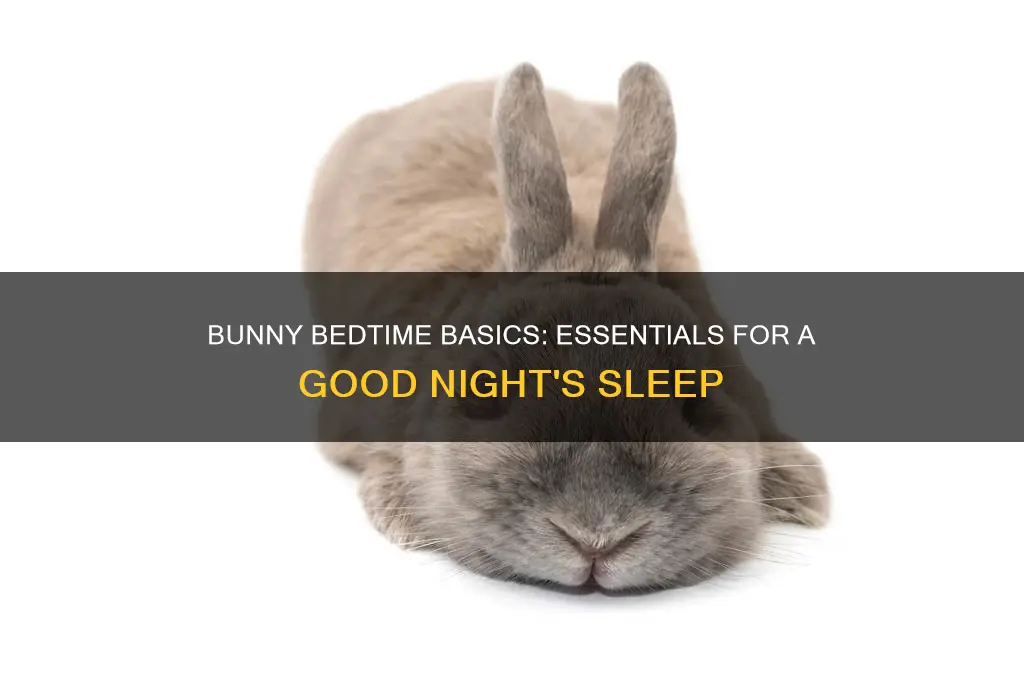 what do bunnies need to sleep